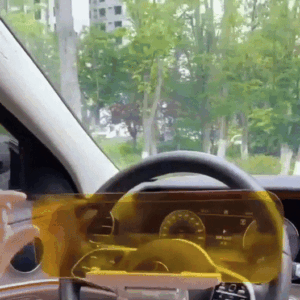 VISOR PRO